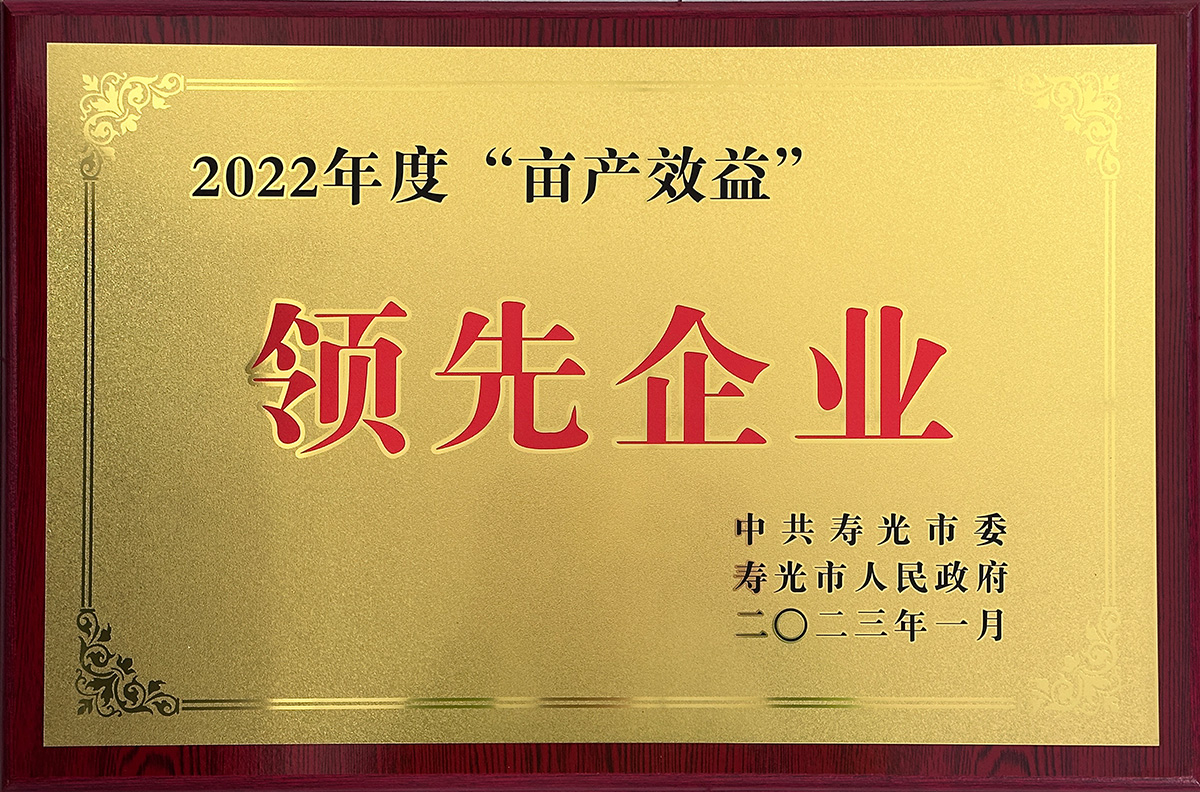 荣誉证书